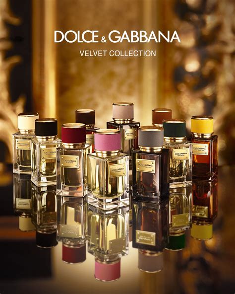 dolce gabbana velvet sicily perfume|dolce and gabbana perfume price.